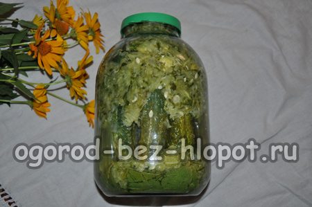 fermented cucumbers in cucumbers