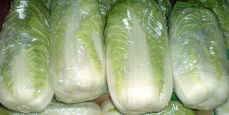 Chinese cabbage