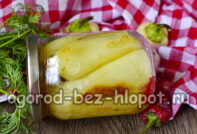paprika za zimu