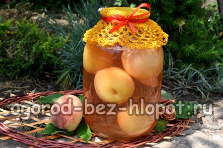 Kompot od breskve