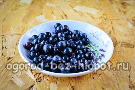 Black grape