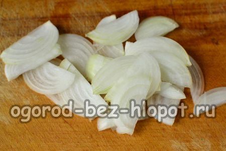 Onion