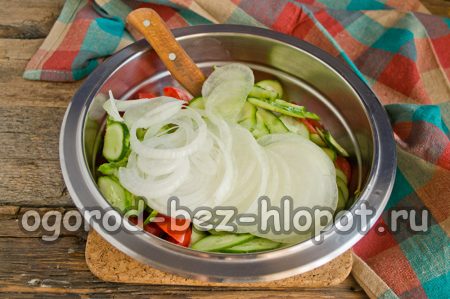chop onion
