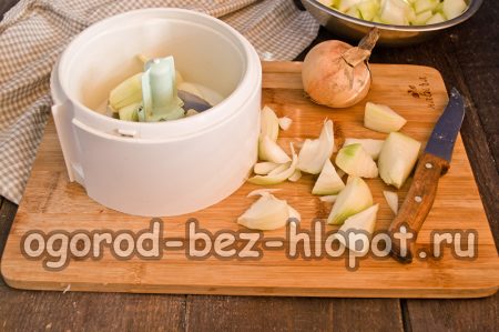 onions in a blender