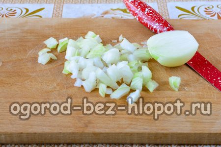 Onion