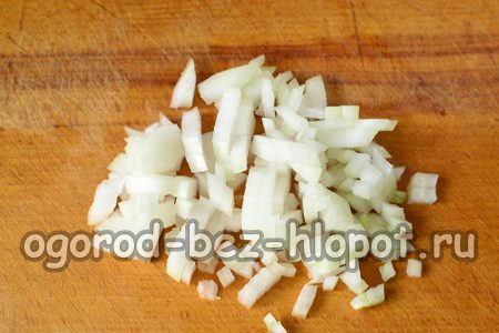 Onion