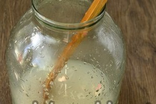 water and yeast