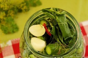 put horseradish leaves and dill
