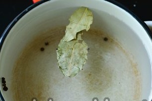 Bay leaf