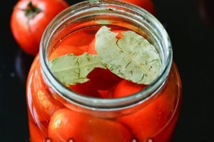 ready tomatoes