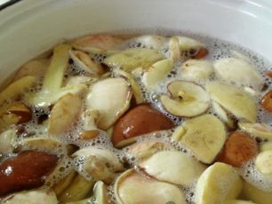 cook oil