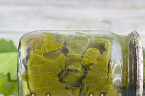 cucumbers in grape leaves