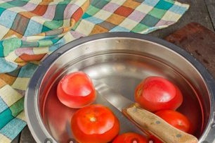 tomatoes