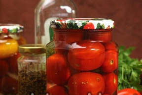 tasty harvesting of tomatoes for the winter