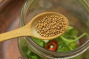 mustard seeds
