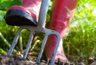 garden work