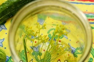 dill in the bank