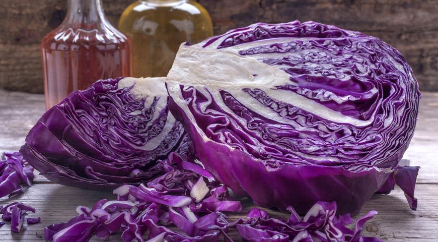 Blue cabbage