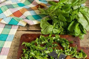 Basil leaves