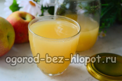 Jabučni sok za zimu