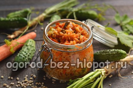 Dressing for pickle for the winter from fresh cucumbers with barley