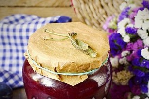 plain plum jelly