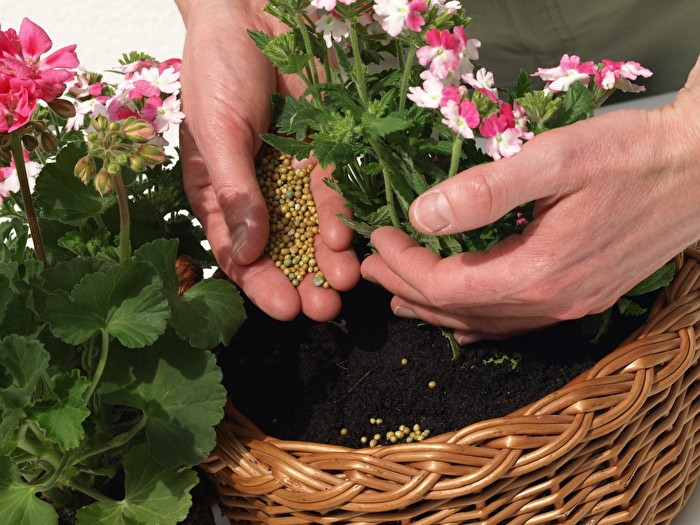 Nitrogen fertilizer