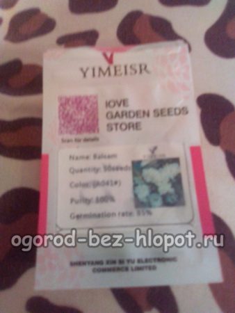 the seeds