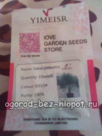 the seeds