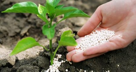 fertilizers