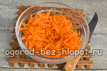 carrot