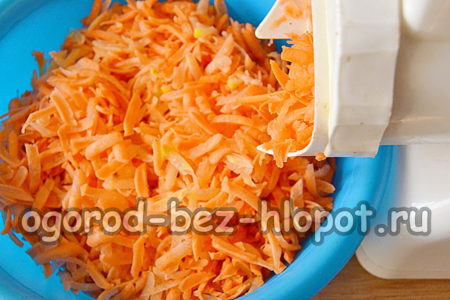 carrot