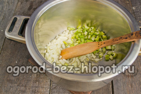 onions and celery