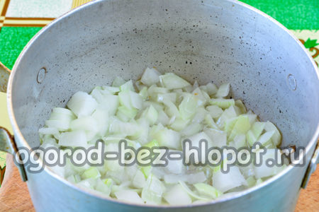 fry the onion