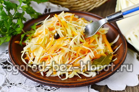 sauerkraut with spices