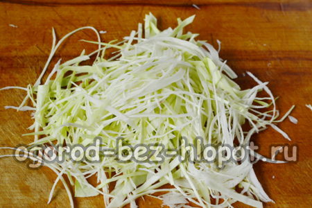 chop cabbage