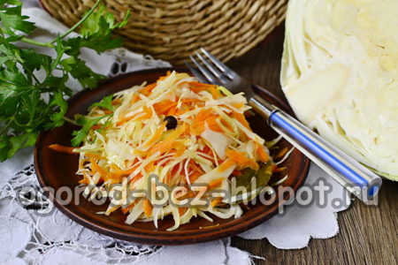 ready cabbage