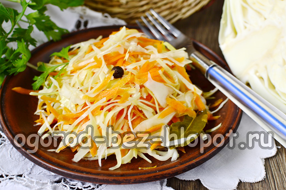 instant sauerkraut with spices