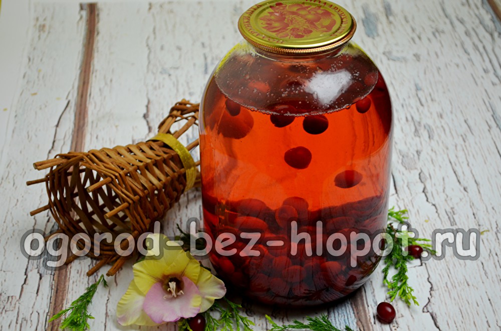 dogwood compote
