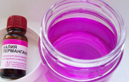 Spraying grapes with potassium permanganate