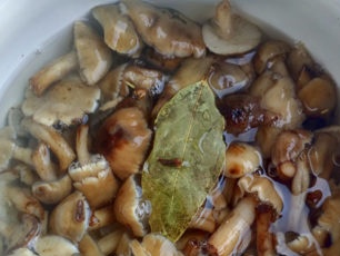 add bay leaf and clove