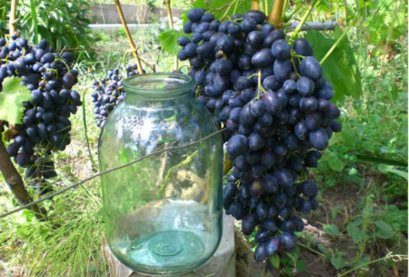 Large clusters