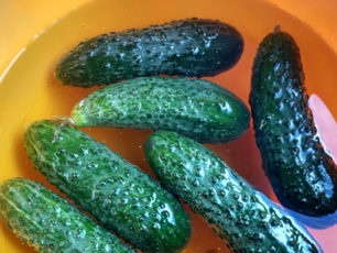 soak cucumbers