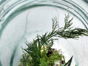 add dill