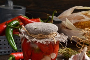 chili peppers for winter