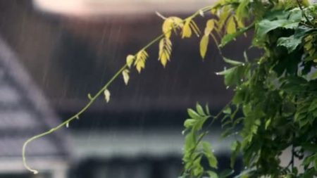 bad weather