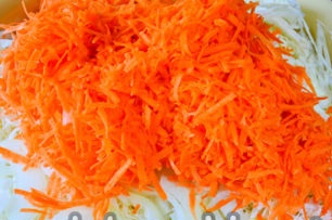 carrot