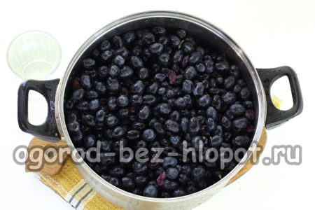 grapes in a pan