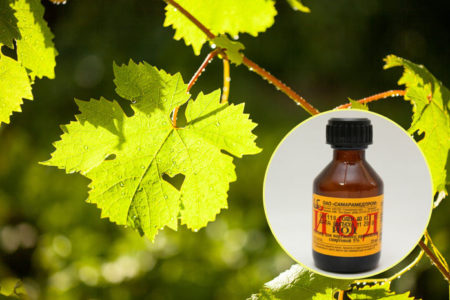 Grape iodine