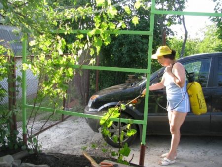 Vineyard processing with iron sulphate
